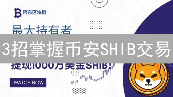 3招掌握币安SHIB交易：新手到专家的投资指南
