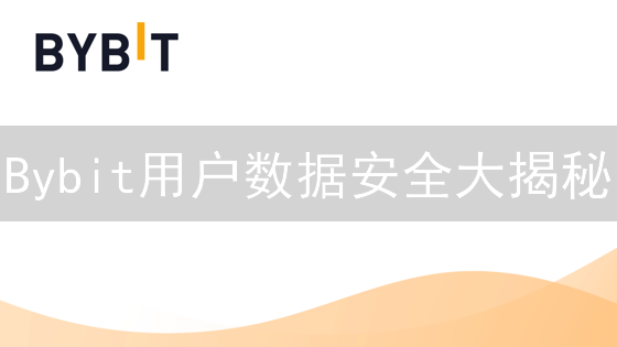 Bybit用户数据安全大揭秘：加密技术与最佳实践【必读】
