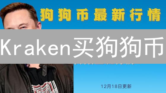 Kraken买狗狗币：新手也能轻松上手？（操作指南+风险提示）