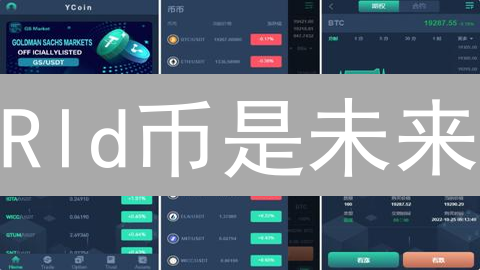 Rld币是未来？深度解析异世界加密货币的机遇与风险